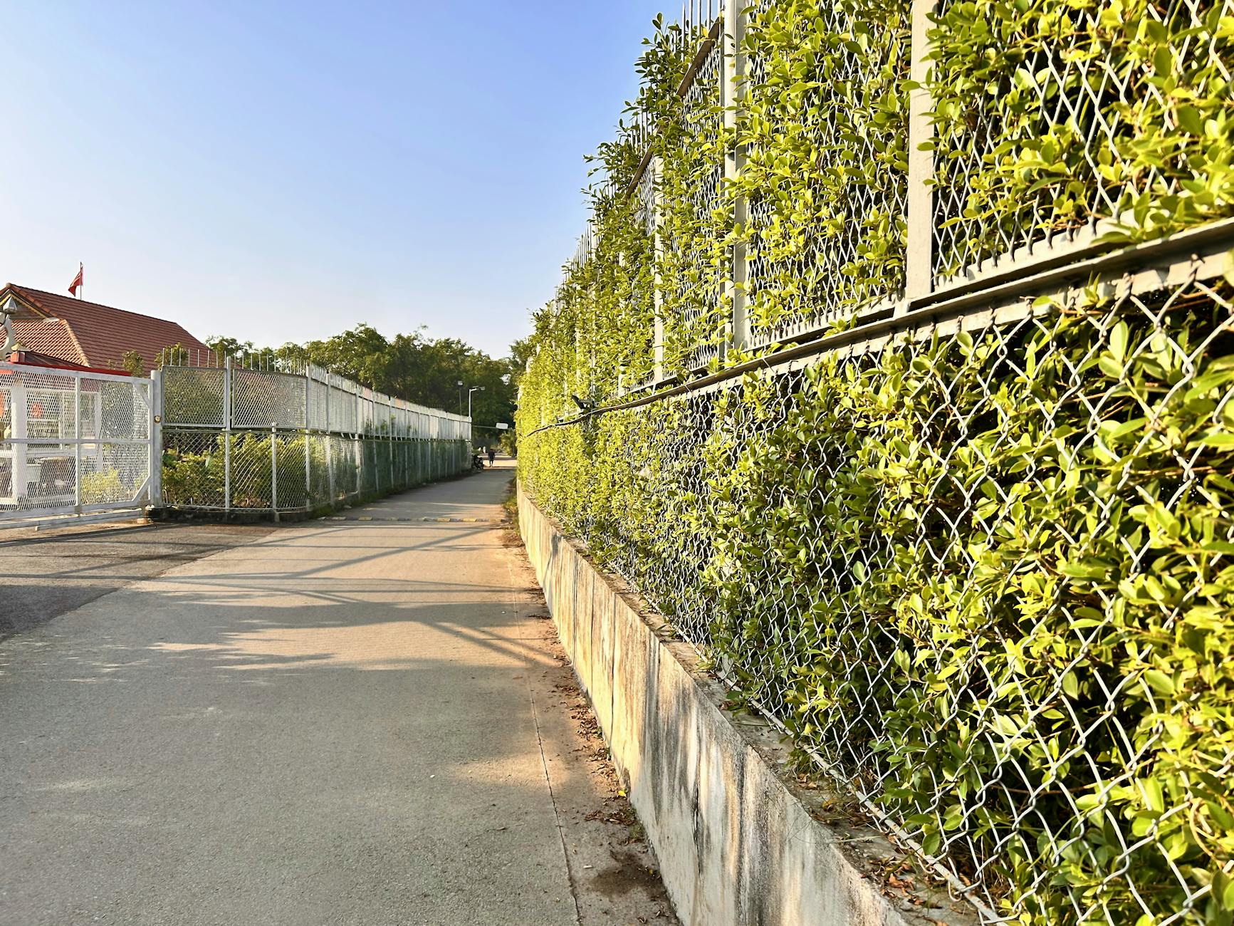 Temporary fence panels stretching along a Texas construction perimeter