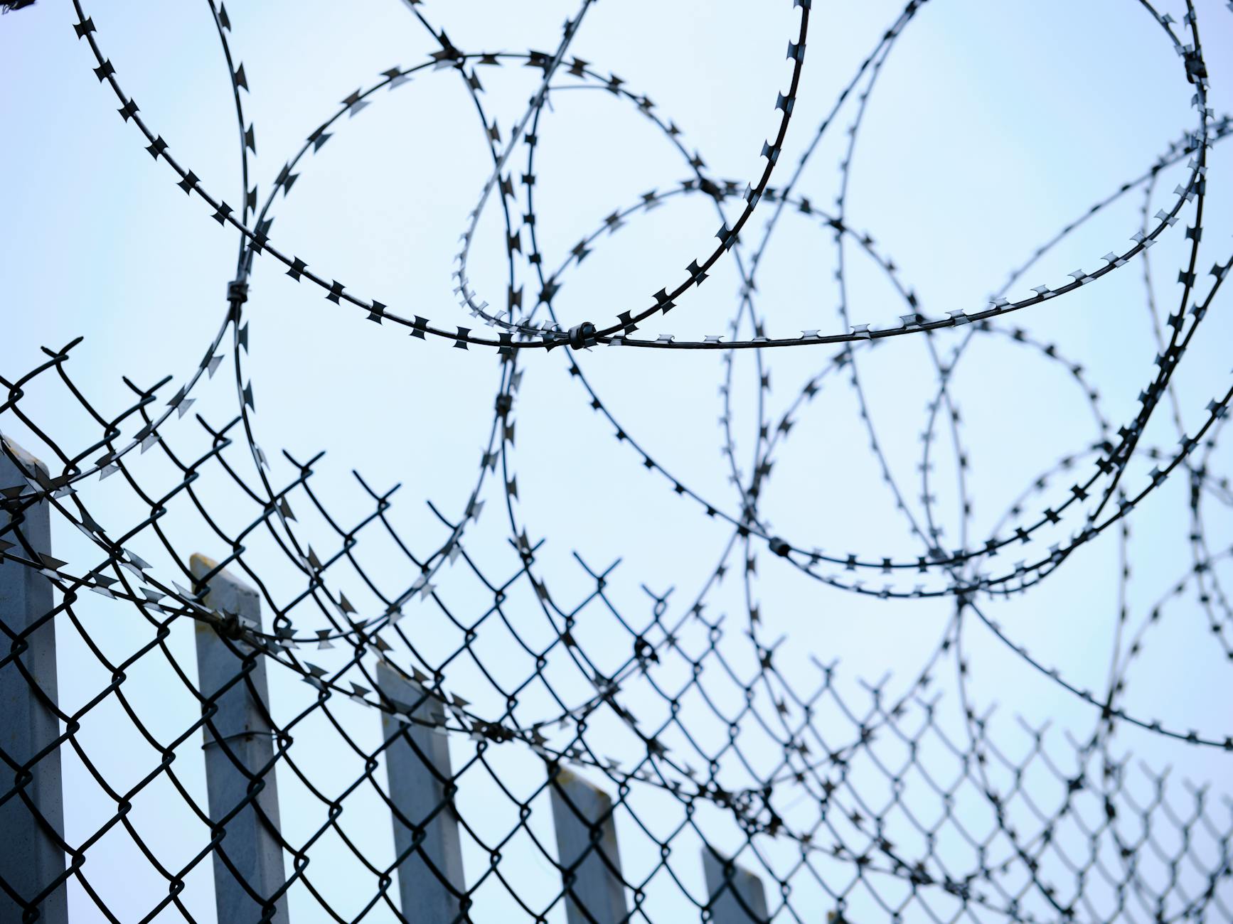 Barbed wire security fence for perimeter protection